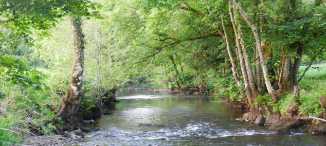 River Teign River Teign